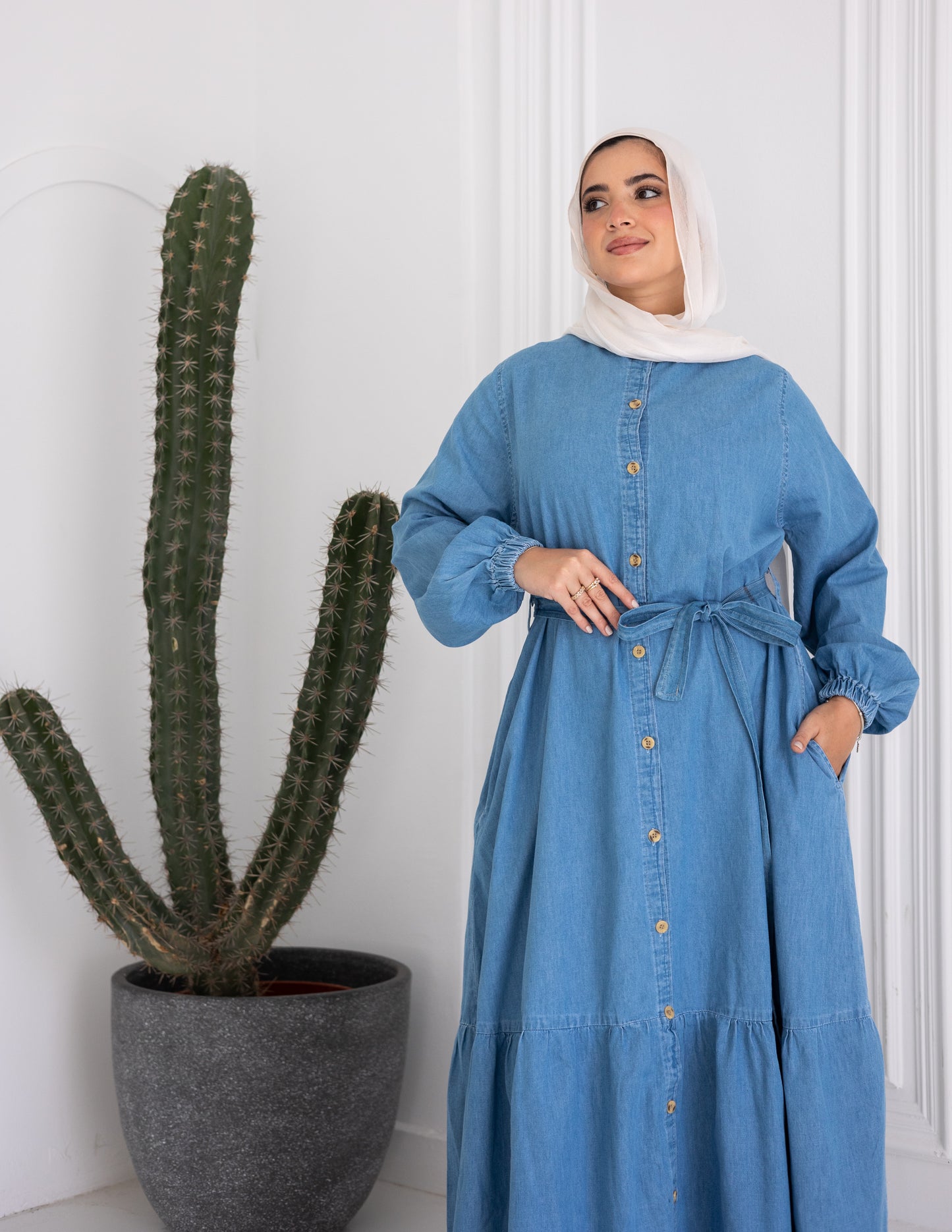 Denim buttoned dress